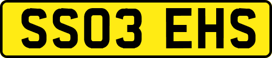 SS03EHS