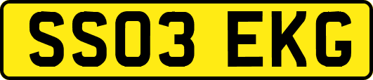 SS03EKG