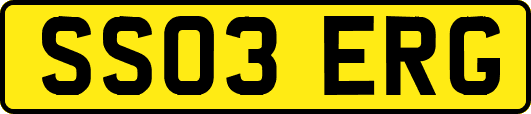 SS03ERG