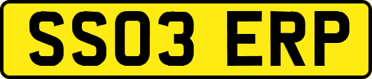 SS03ERP
