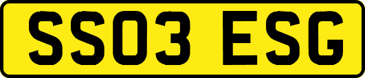 SS03ESG