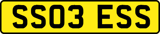 SS03ESS