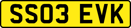 SS03EVK