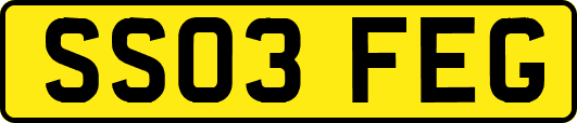 SS03FEG