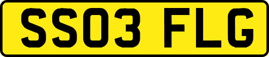 SS03FLG
