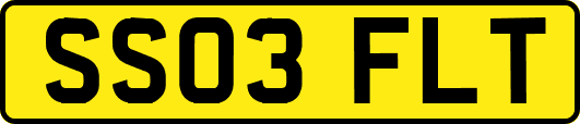 SS03FLT