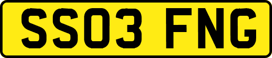 SS03FNG