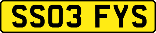 SS03FYS