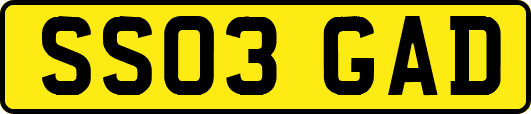SS03GAD