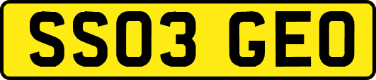 SS03GEO