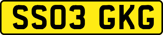 SS03GKG