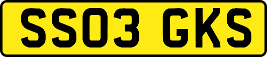 SS03GKS