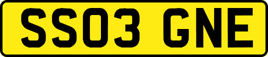 SS03GNE