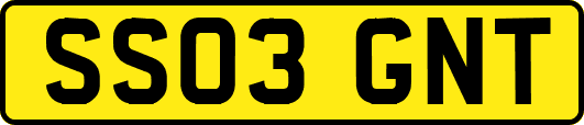 SS03GNT