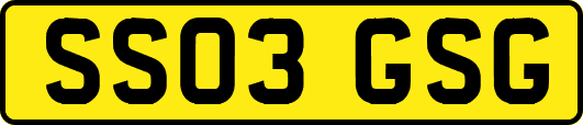 SS03GSG