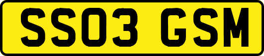 SS03GSM