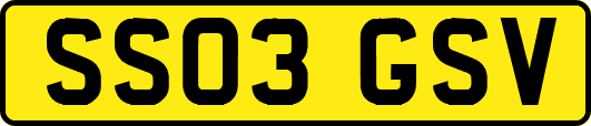 SS03GSV