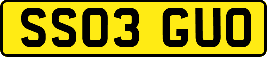 SS03GUO