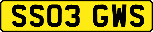 SS03GWS