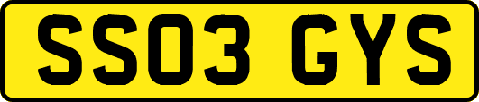 SS03GYS
