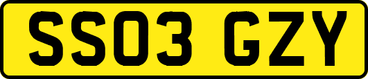 SS03GZY