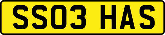 SS03HAS
