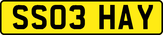 SS03HAY