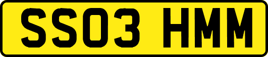 SS03HMM