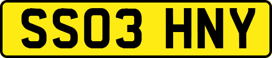 SS03HNY