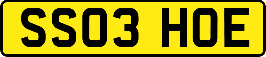 SS03HOE