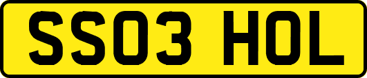 SS03HOL