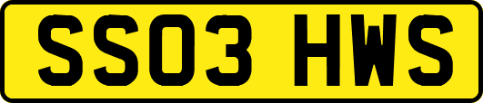 SS03HWS