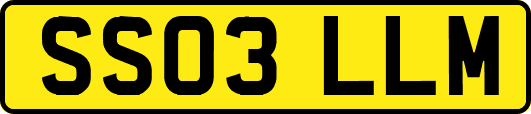 SS03LLM