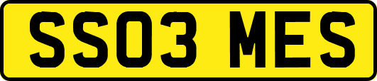 SS03MES