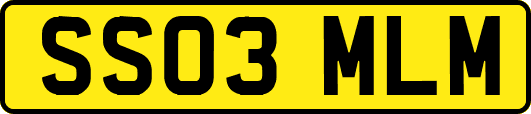 SS03MLM