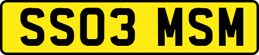 SS03MSM