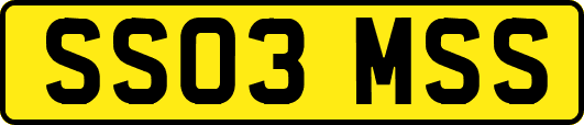 SS03MSS