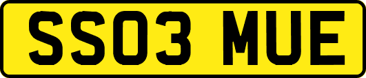 SS03MUE