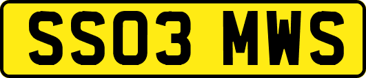 SS03MWS