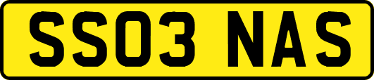 SS03NAS