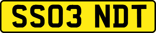 SS03NDT
