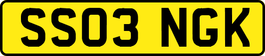 SS03NGK