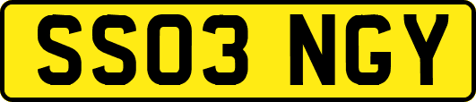 SS03NGY