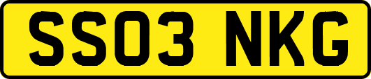SS03NKG