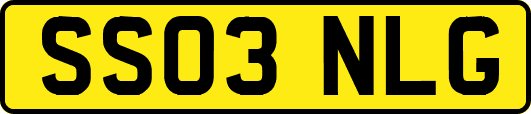 SS03NLG