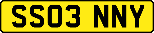 SS03NNY