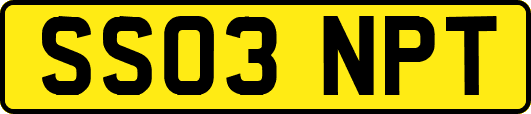 SS03NPT