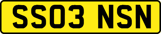 SS03NSN