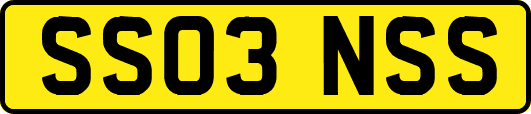 SS03NSS