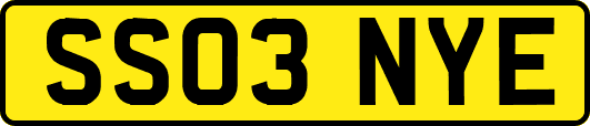SS03NYE